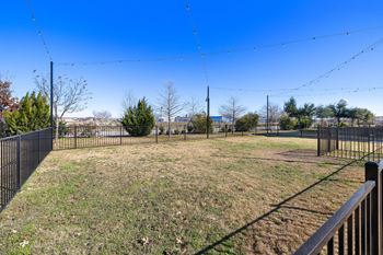 Dog park view